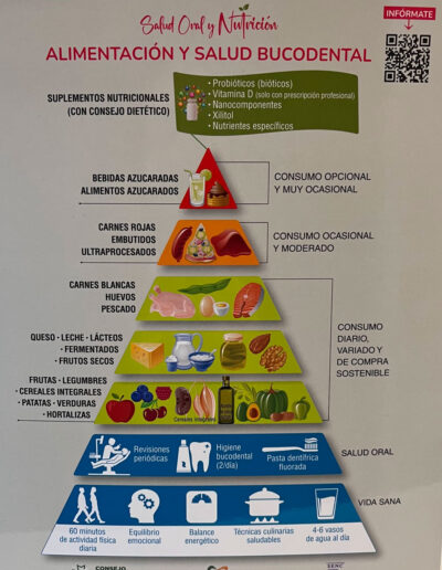 alimentacion